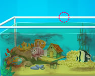 Aquarium farm online
